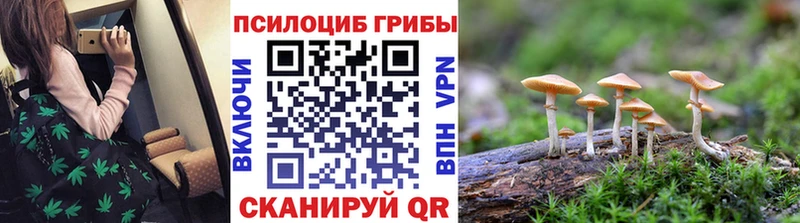 ссылка на мегу рабочий сайт  Троицк  Галлюциногенные грибы Psilocybine cubensis 